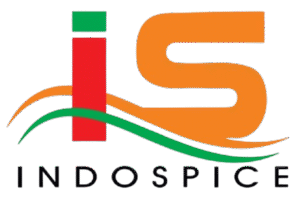 WhatsApp_Image_2025-09-22_at_18.28.50_a8b5a8d6-removebg-preview